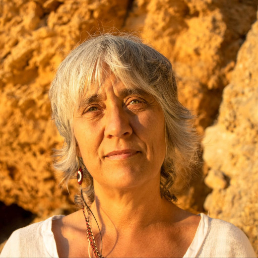 Llucia Mir