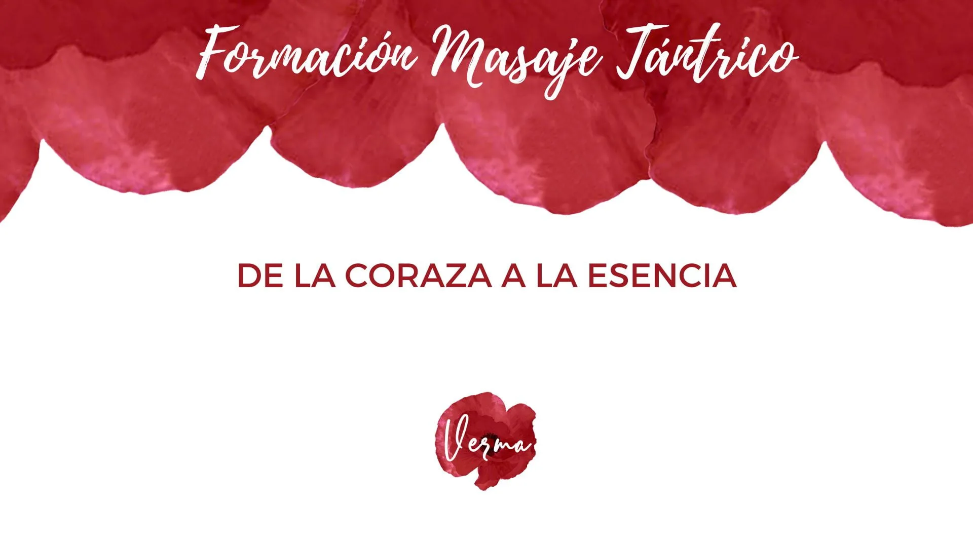 FMT Módulo 2: De la Coraza a la Esencia
