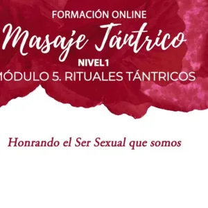 FMT online: Módulo 5