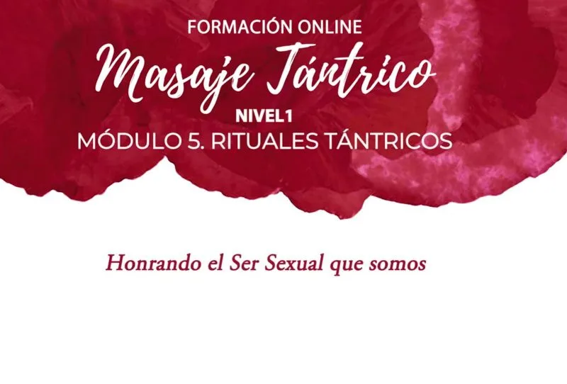 FMT online: Módulo 5